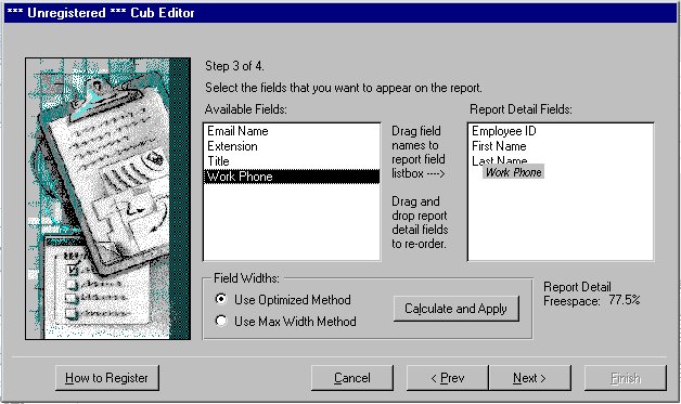 Screenshot of Cub Editor for MS Access 97